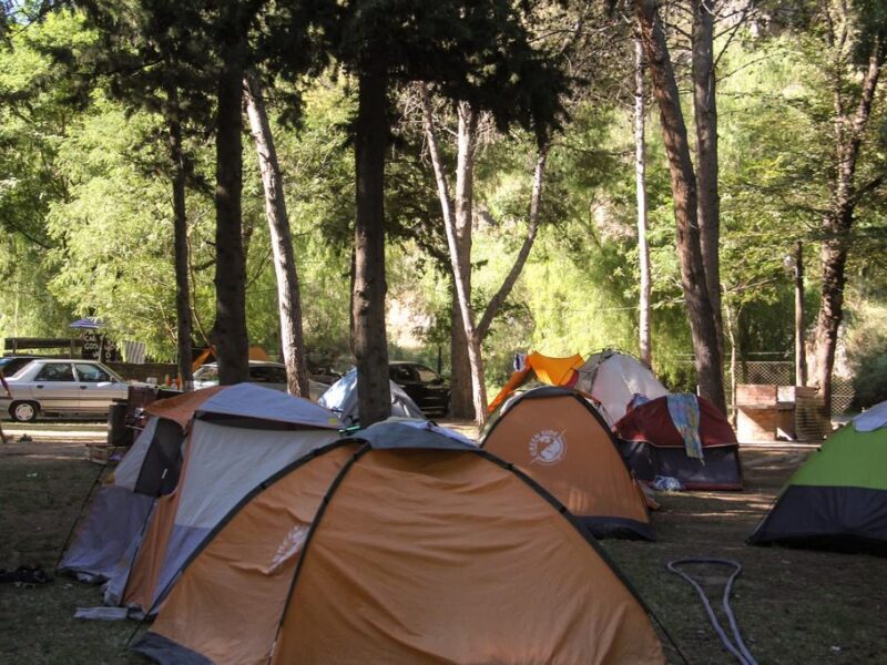 Camping El Sauce